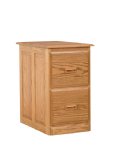 Traditional Deluxe 2-Drawer File Cabinet